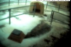 Unwetter in Weiern