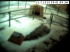webcam19