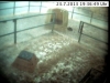 webcam24