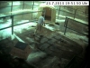 webcam9
