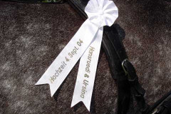 Hochzeit - Kutschfahrt