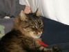 PICT0889.JPG