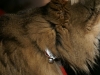 PICT1096.JPG