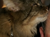 PICT1098.JPG