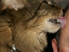 PICT1099.JPG