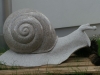 PICT1955.JPG