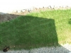 PICT2251.JPG