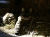 PICT0059.JPG