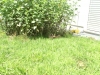 PICT0002.JPG