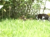 PICT0003.JPG