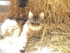 PICT0062.JPG
