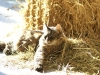 PICT0070.JPG