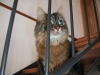 PICT0015.JPG