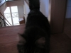 PICT0021.JPG
