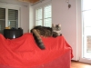 PICT0005.JPG