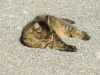 PICT0248.JPG