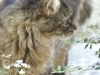 PICT0250.JPG
