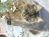 PICT0251.JPG