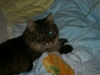 PICT0631.JPG