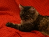 PICT0664.JPG