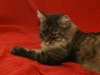 PICT0665.JPG