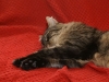 PICT0670.JPG