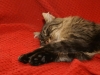PICT0671.JPG