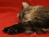 PICT0672.JPG