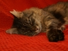PICT0675.JPG