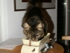 PICT0828.JPG