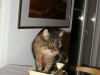 PICT0829.JPG