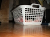 PICT0007.JPG