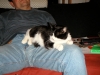 PICT0009.JPG