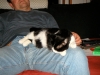 PICT0010.JPG