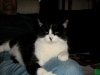 PICT0012.JPG