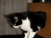 PICT0017.JPG