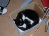 DSC_0037.JPG