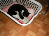 PICT0008.JPG