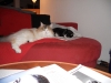 DSCN0187.JPG