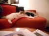 DSCN0188.JPG
