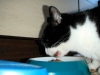 PICT0021.JPG
