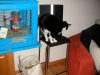 PICT0020.JPG