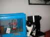 PICT0021.JPG
