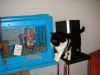 PICT0022.JPG