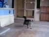 PICT0017_1