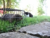 PICT0008.JPG