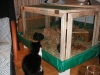 PICT0002.JPG