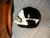 PICT0003.JPG
