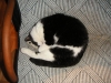 PICT0004.JPG