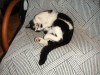 PICT0001.JPG